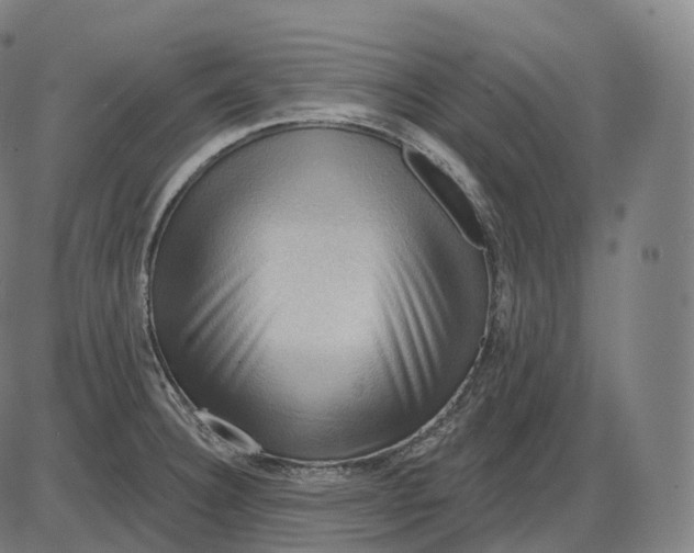 X0000083971332200703161521