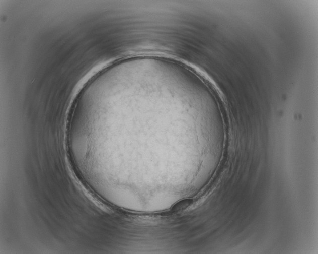 X0000083971333200703161521