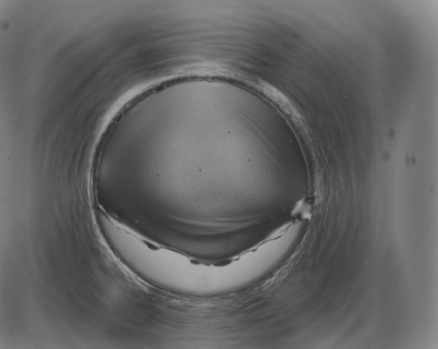 X0000083971334200703161521