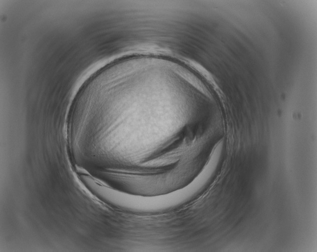 X0000083971335200703161521