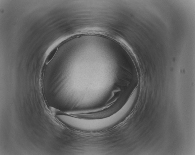 X0000083971336200703161521