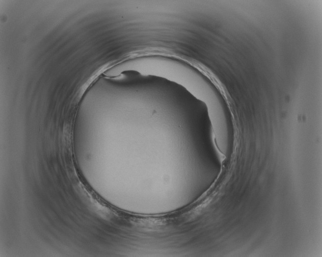 X0000083971337200703161521