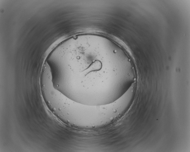 X0000083971338200703161521