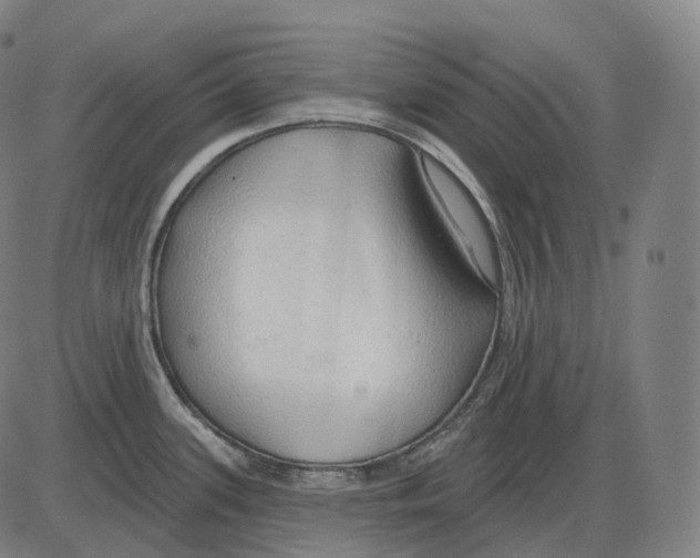 X0000083971339200703161521