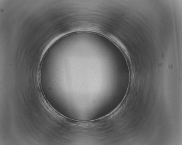 X0000083971340200703161521