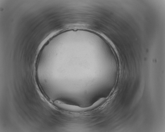 X0000083971341200703161521