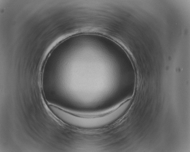 X0000083971342200703161521