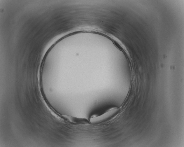 X0000083971343200703161521