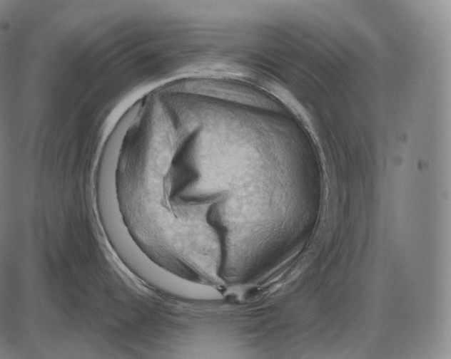 X0000083971344200703161521