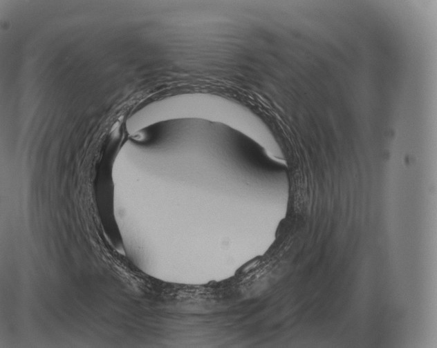 X0000083971345200703161521