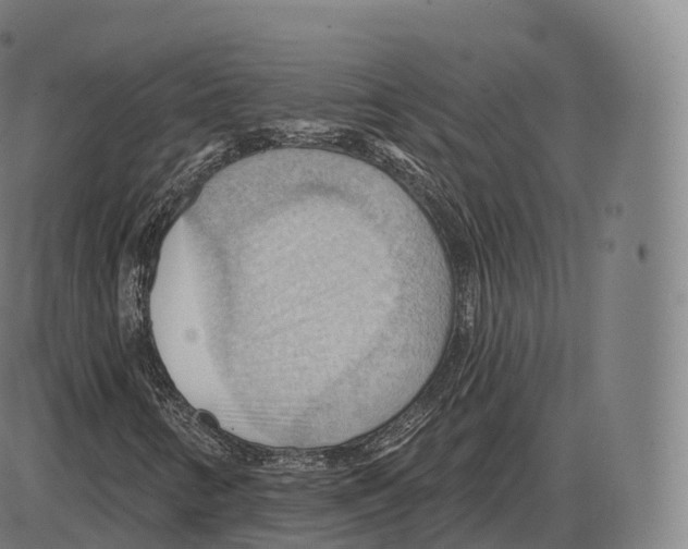 X0000083971346200703161521