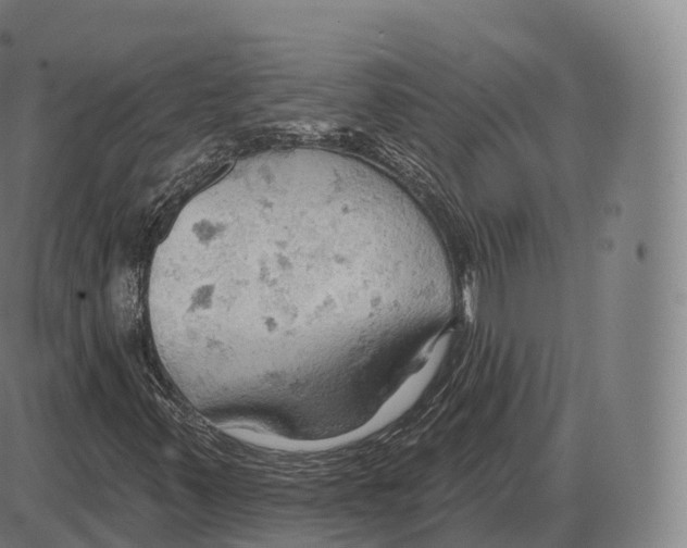 X0000083971347200703161521