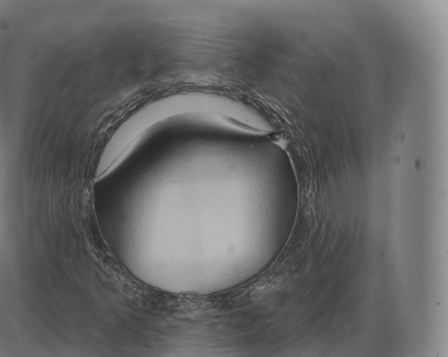 X0000083971349200703161521