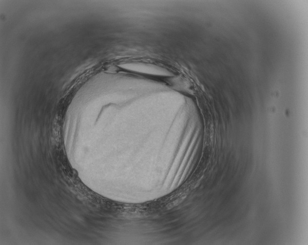 X0000083971350200703161521