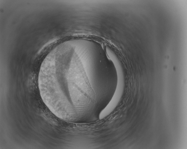 X0000083971351200703161521