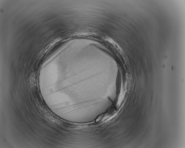 X0000083971353200703161520