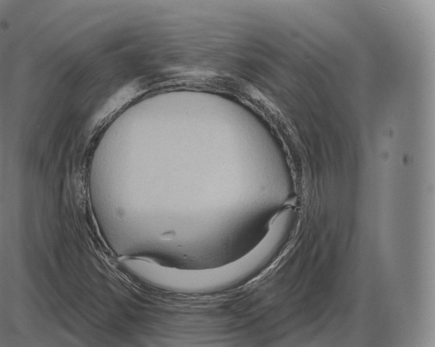 X0000083971354200703161520