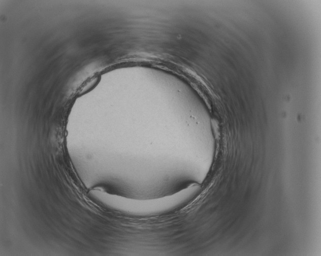 X0000083971355200703161520