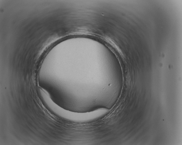 X0000083971356200703161520