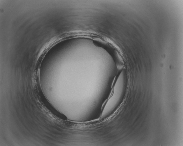 X0000083971357200703161520