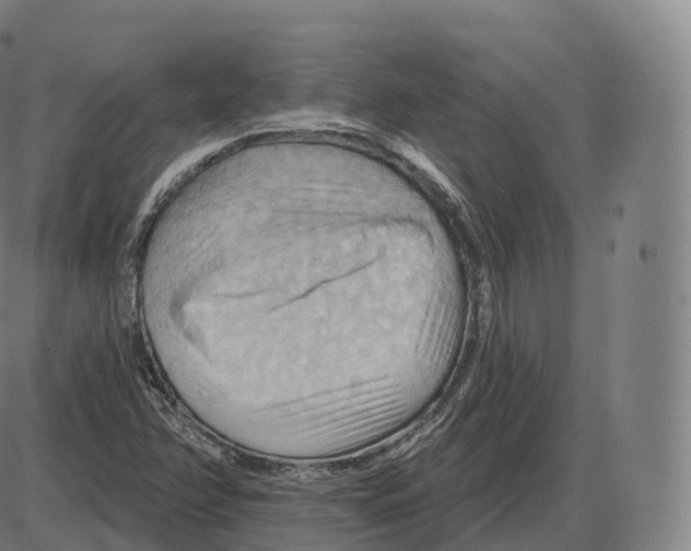 X0000083971358200703161520