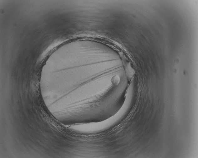 X0000083971359200703161520