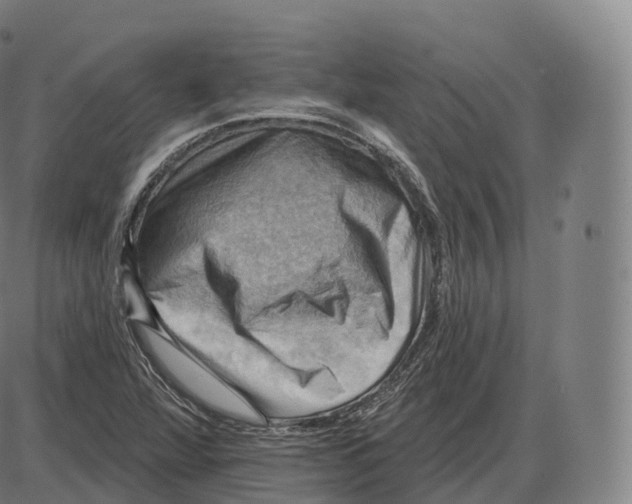 X0000083971360200703161520