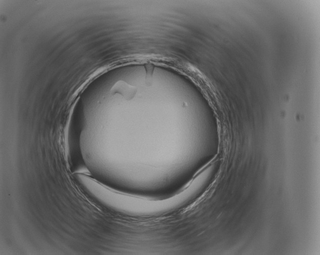 X0000083971361200703161520