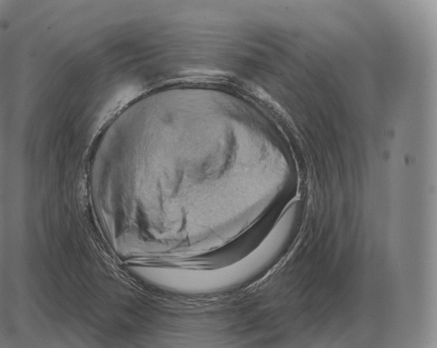 X0000083971362200703161520