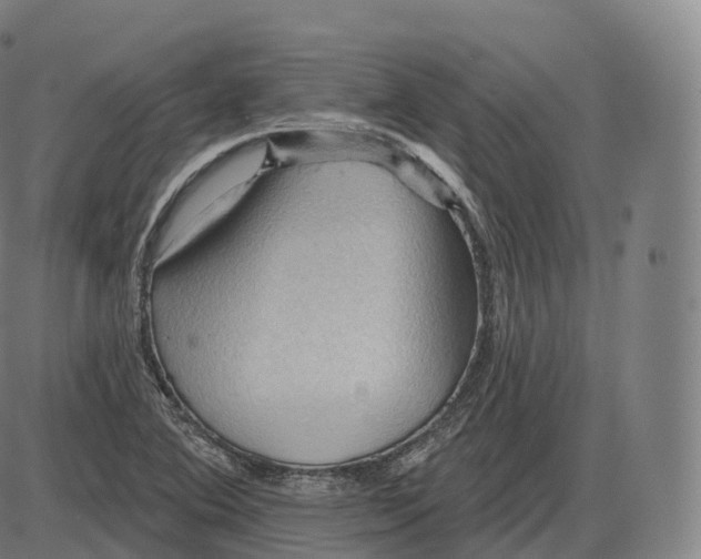 X0000083971364200703161520