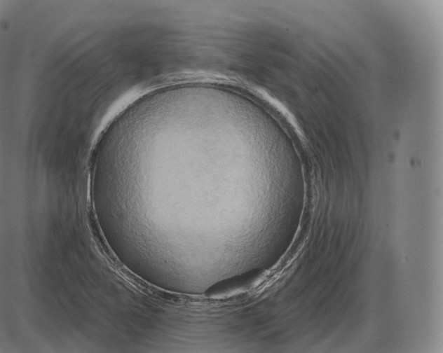 X0000083971365200703161520