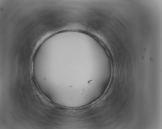 X0000083971366200703161520