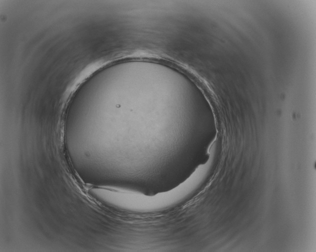 X0000083971367200703161520