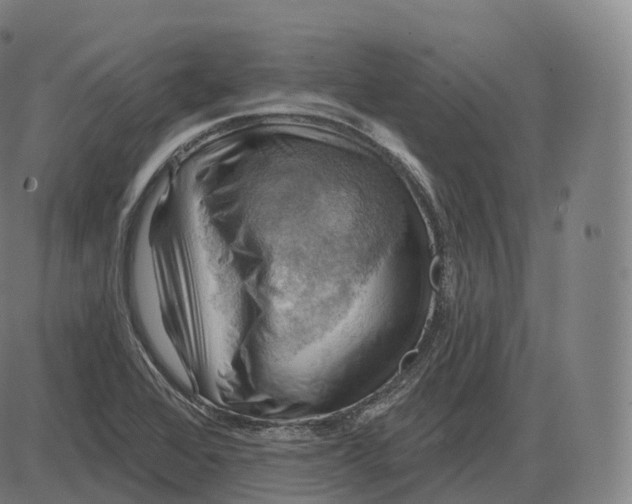 X0000083971368200703161520