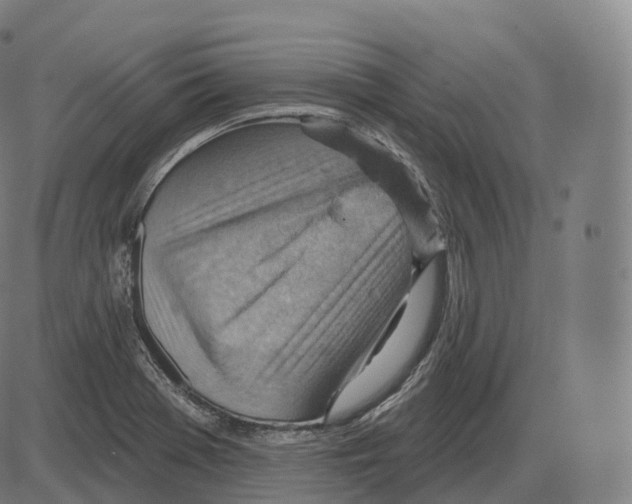 X0000083971369200703161520