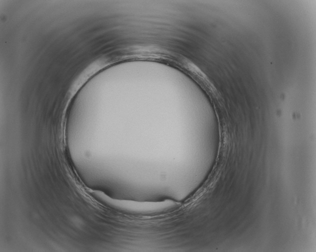 X0000083971370200703161520