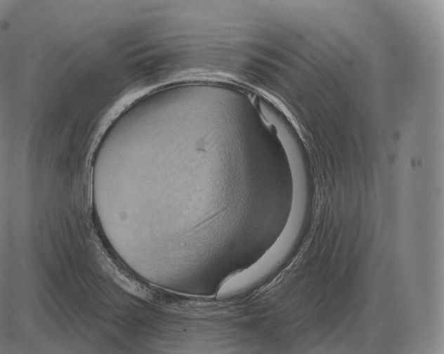 X0000083971371200703161520