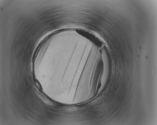 X0000083971372200703161520