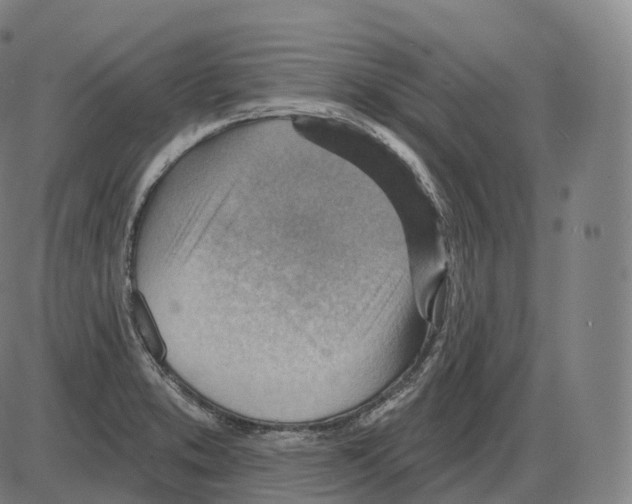 X0000083971373200703161520