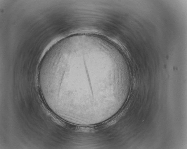 X0000083971374200703161520