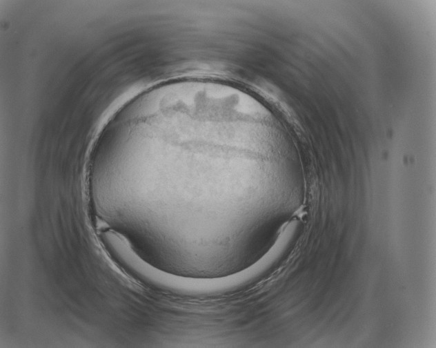 X0000083971375200703161520