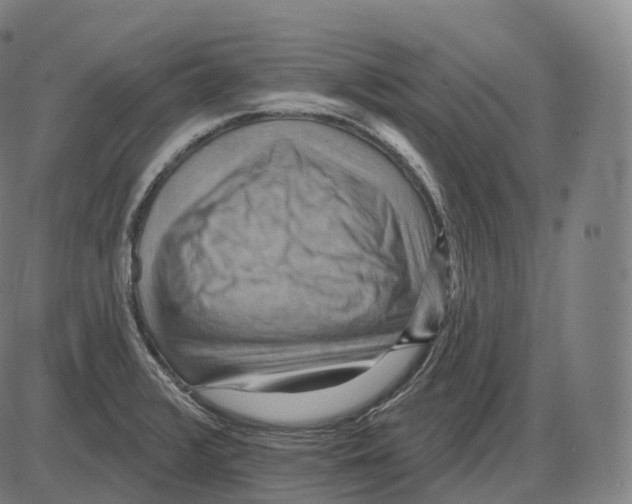 X0000083971376200703161520