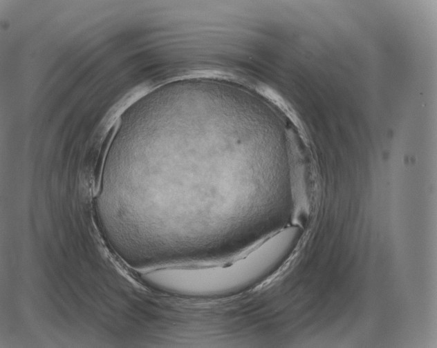 X0000083971377200703161520