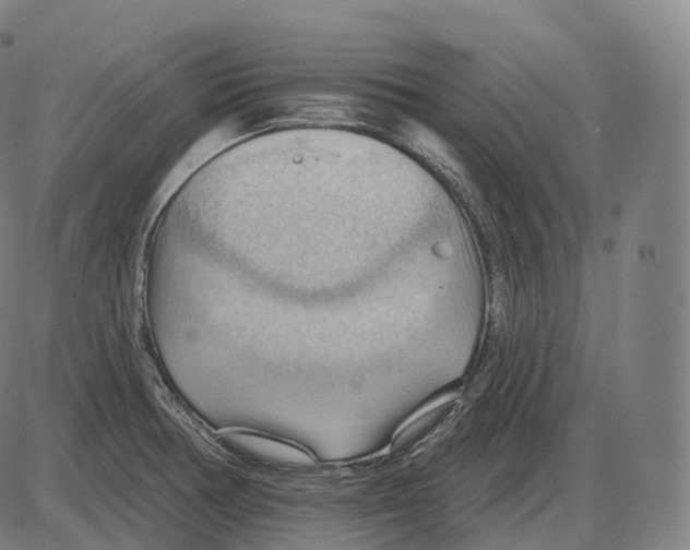 X0000083971378200703161520