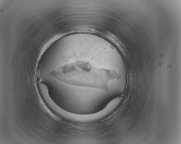 X0000083971379200703161520