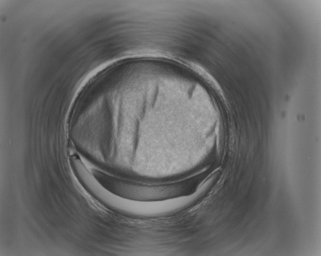 X0000083971380200703161520