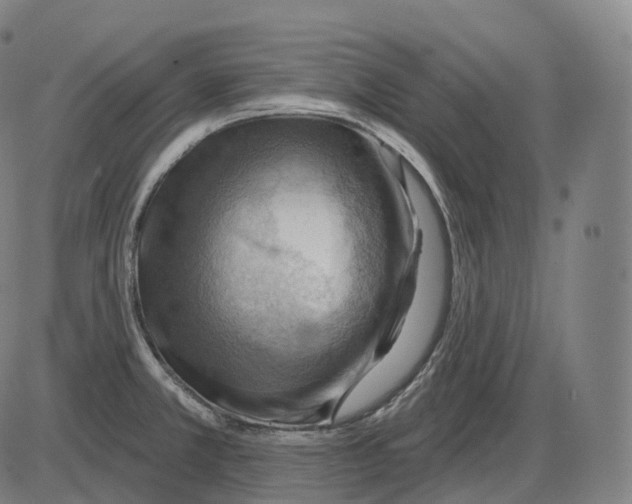 X0000083971381200703161520