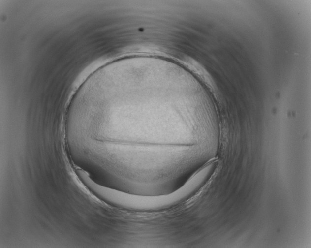 X0000083971382200703161520