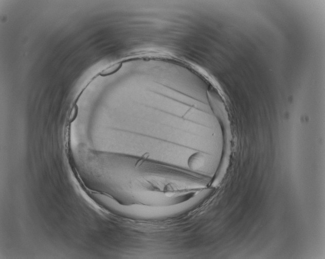 X0000083971383200703161520