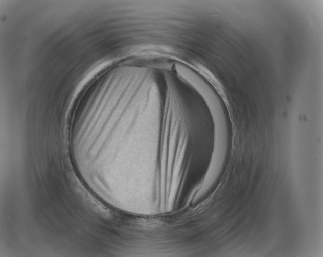 X0000083971384200703161520